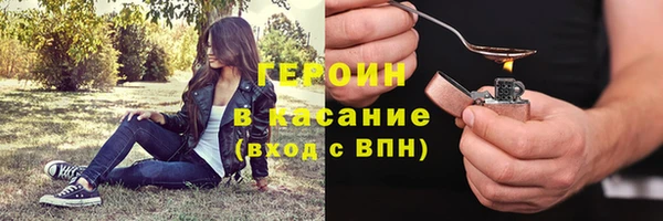 индика Ладушкин
